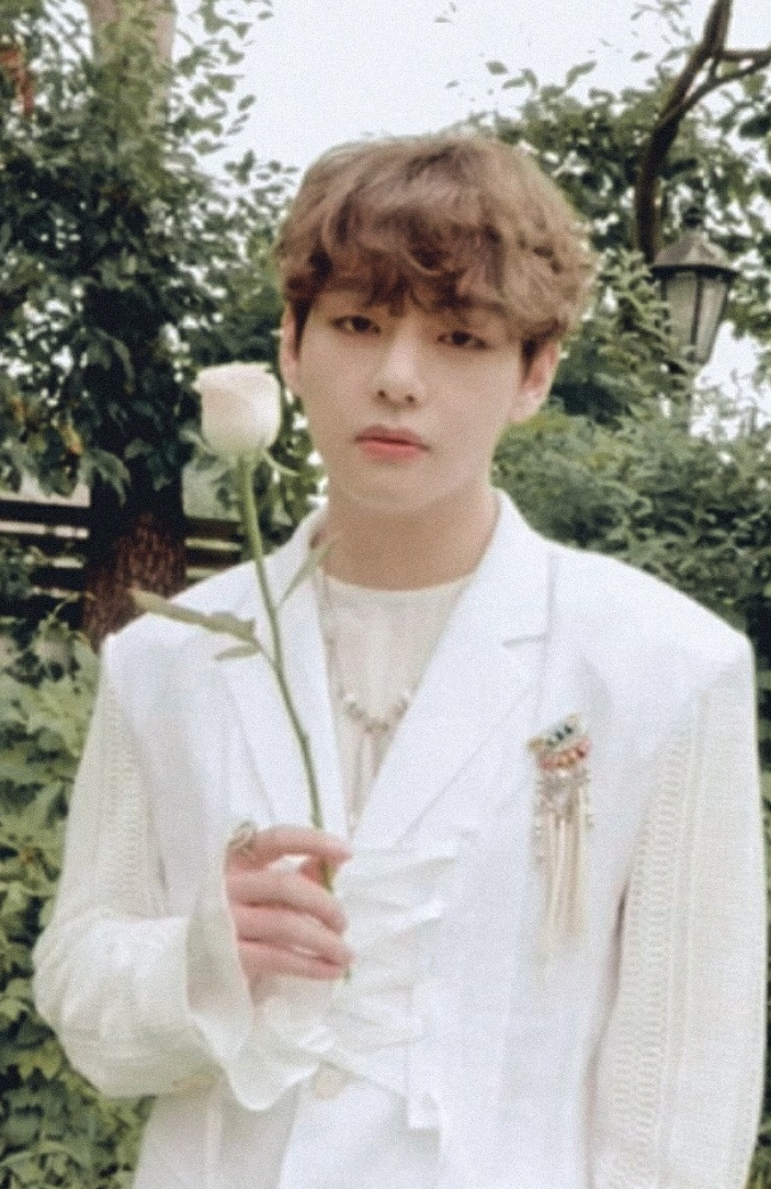 방탄소년단 뷔(BTS V)