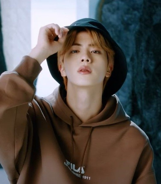 방탄소년단 진(BTS JIN)