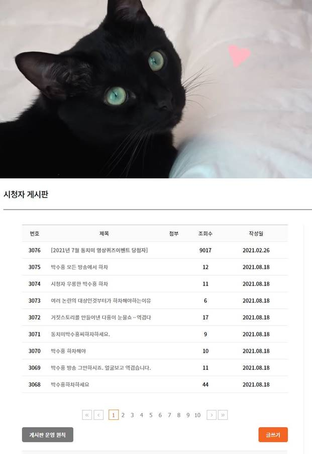 /사진=유튜브 '검은고양이 다홍', MBN '동치미' 시청자 게시판 캡처
