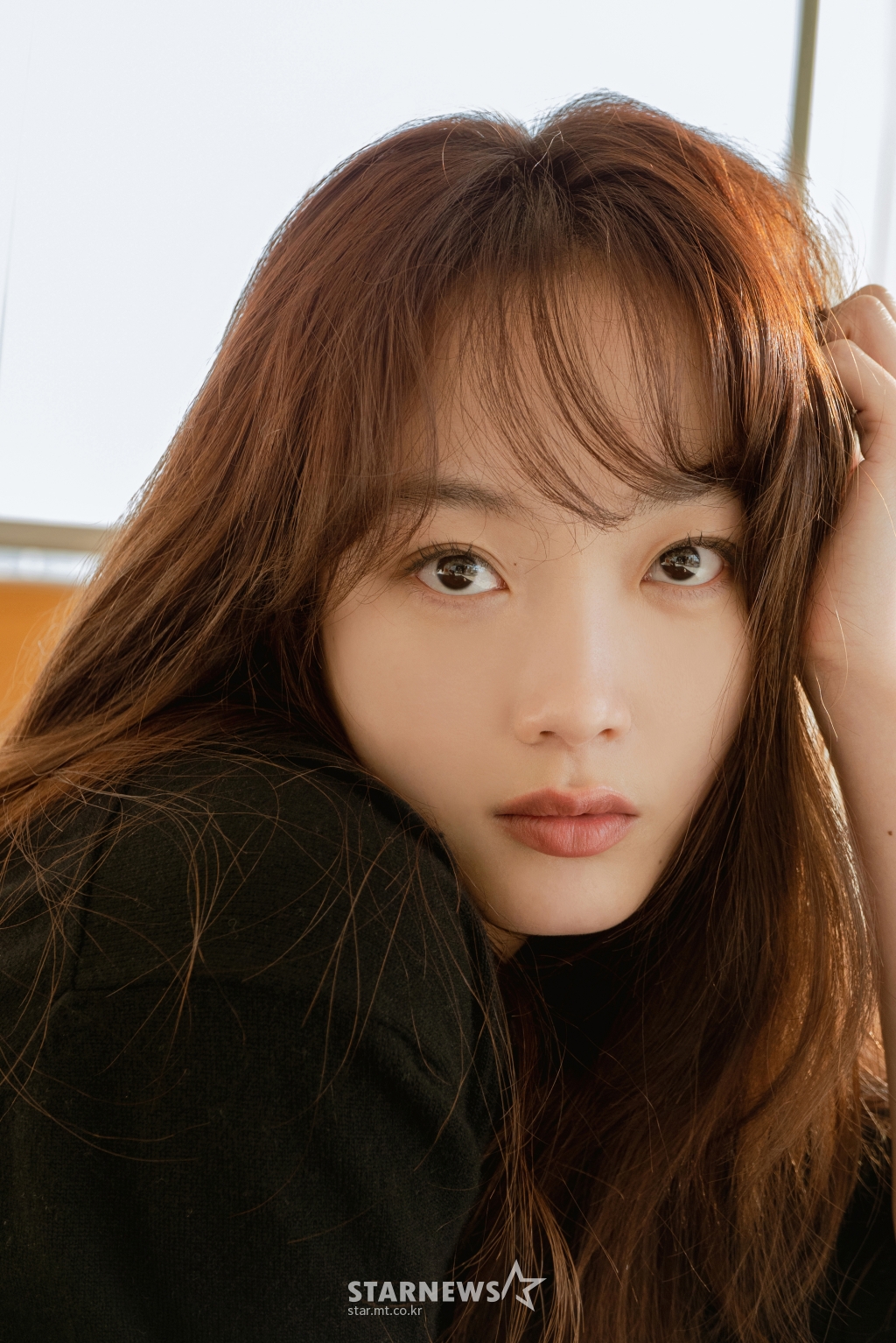 사진