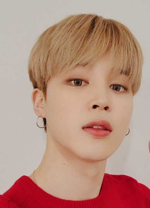 방탄소년단 지민(BTS JIMIN)