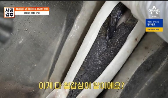 /사진= 채널A '서민갑부' 방송 화면