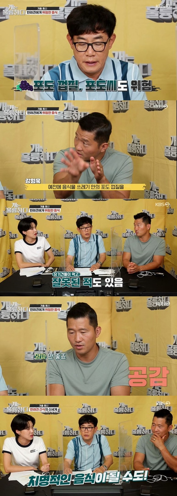/사진= KBS 2TV '개는 훌륭하다' 방송 화면