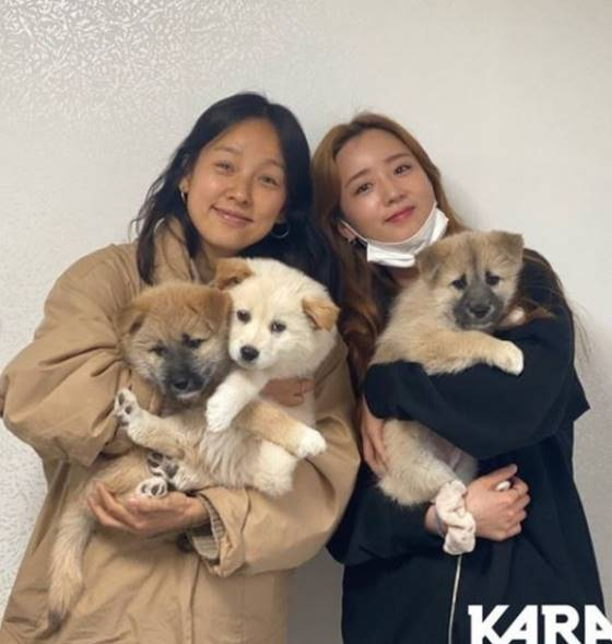 가수 이효리, 그룹 에이핑크 윤보미 /사진=동물권행동 카라