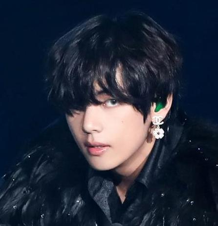 방탄소년단 뷔(BTS V)