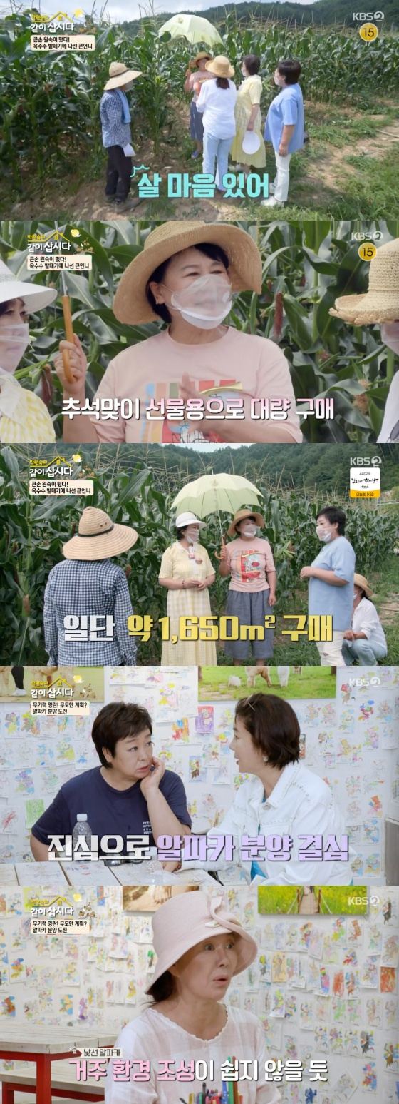 /사진=KBS 2TV '박원숙의 같이 삽시다 시즌3' 방송화면 캡처