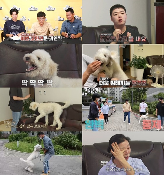 /사진='개는 훌륭하다'
