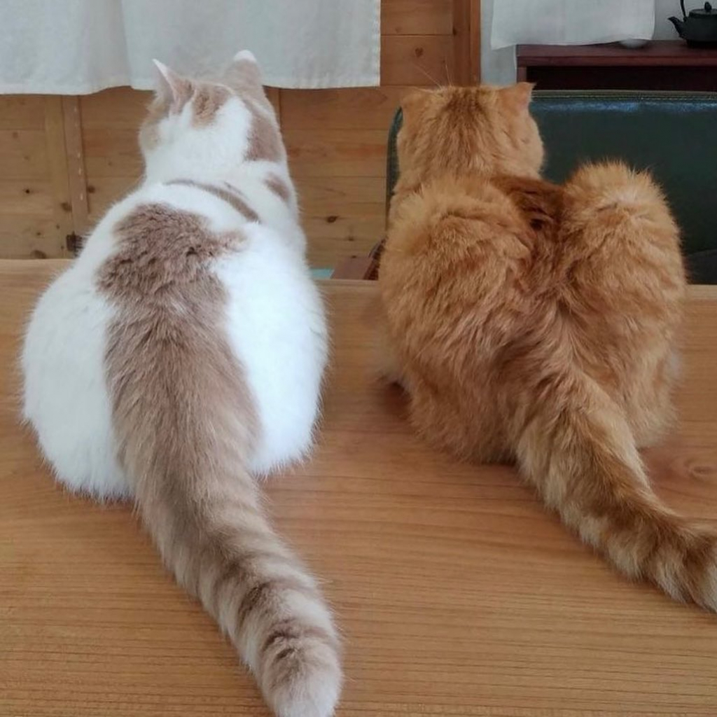 /사진 = 이수 인스타그램