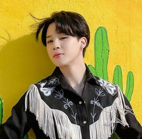 방탄소년단 지민(BTS JIMIN)