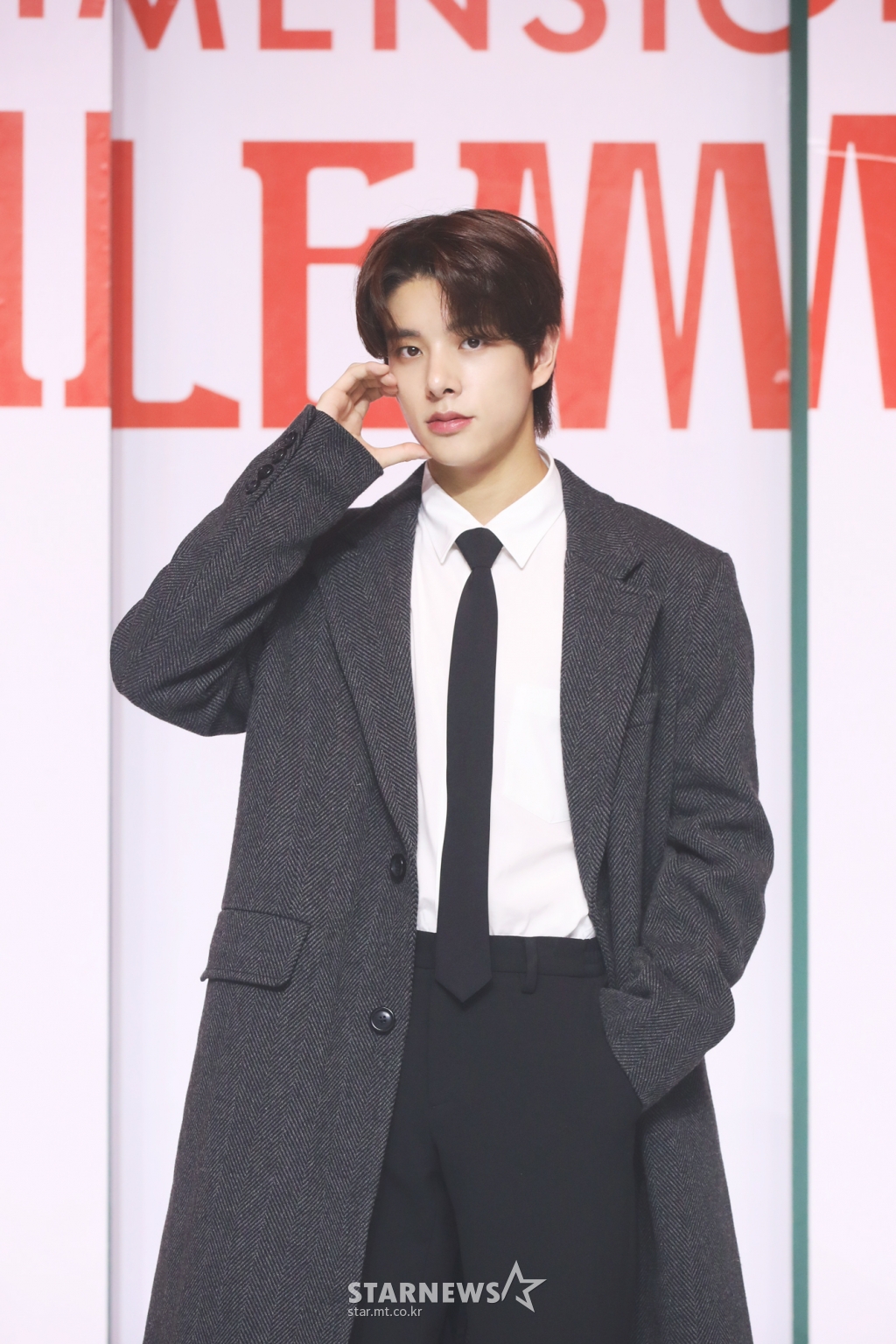 사진