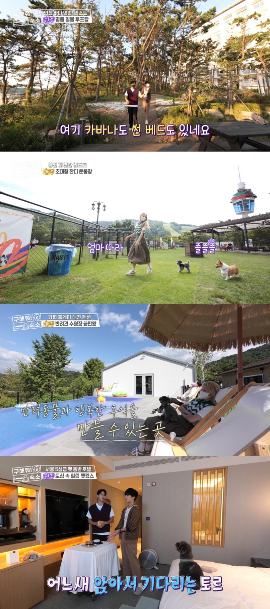 /사진=MBC '구해줘 숙소'