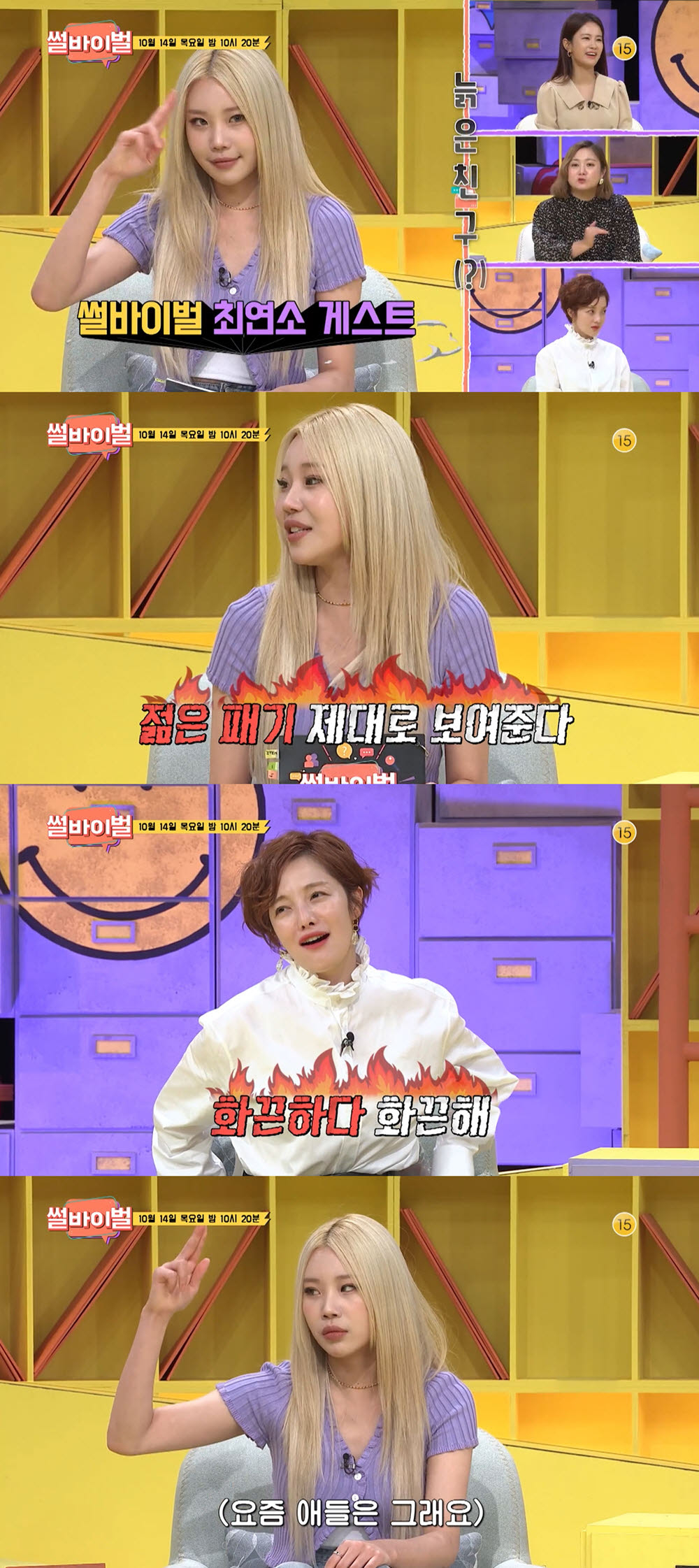 사진