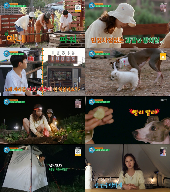KBS 2TV '오늘부터 무해하게' 2회./사진=KBS 2TV '오늘부터 무해하게' 2회 방송 화면 캡처