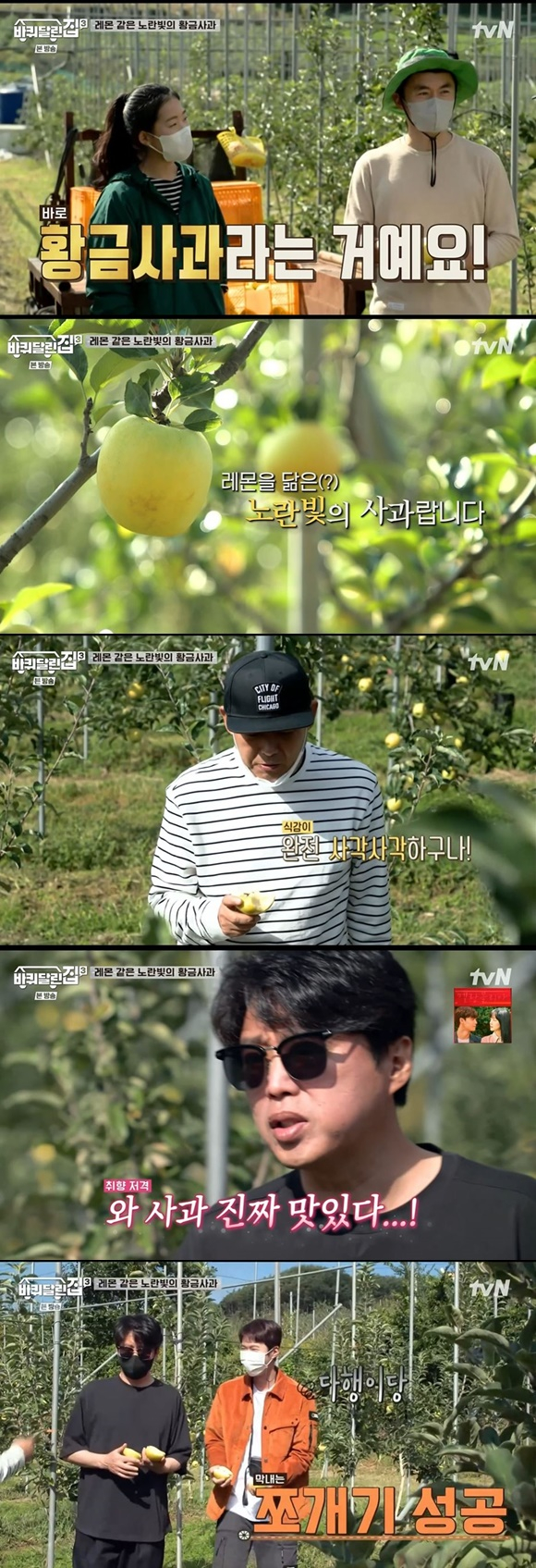 /사진= tvN '바퀴달린집3' 방송 화면