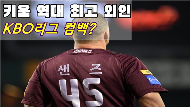 /그래픽=김혜림 기자