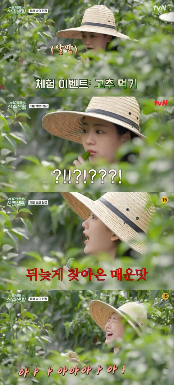 /사진=tvN '슬기로운 산촌생활' 방송화면 캡처