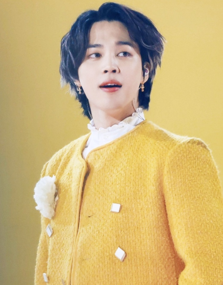 방탄소년단 지민(BTS JIMIN)