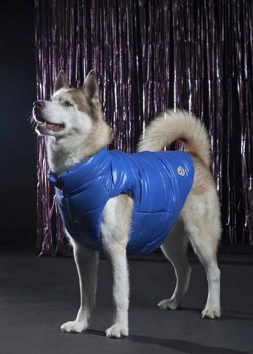 /사진제공=몽클레르(MONCLER)