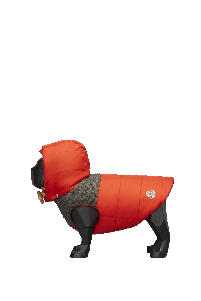 /사진제공=몽클레르(MONCLER)