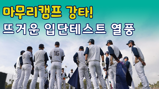 /그래픽=이원희 기자