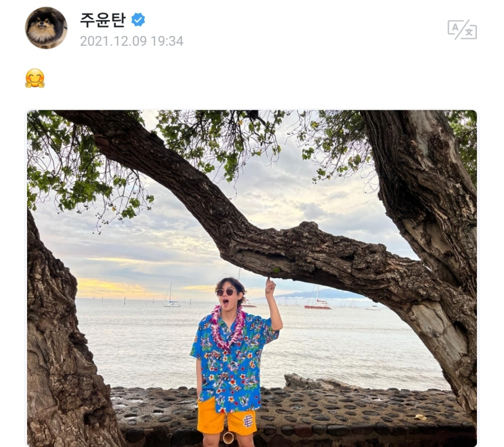 사진