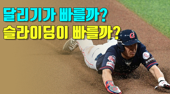 /그래픽=이원희 기자
