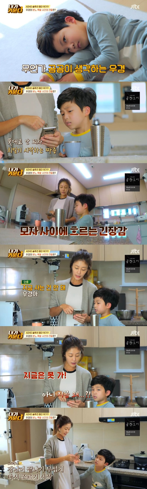 /사진=JTBC '내가 키운다' 방송 화면