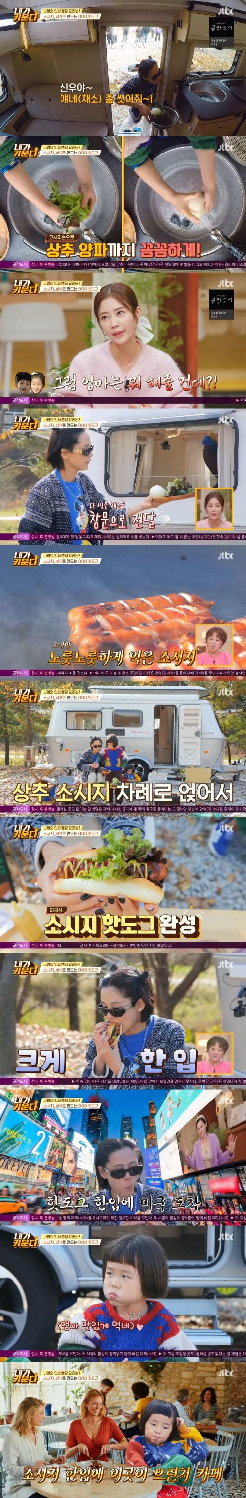 /사진=JTBC '내가 키운다' 방송 화면