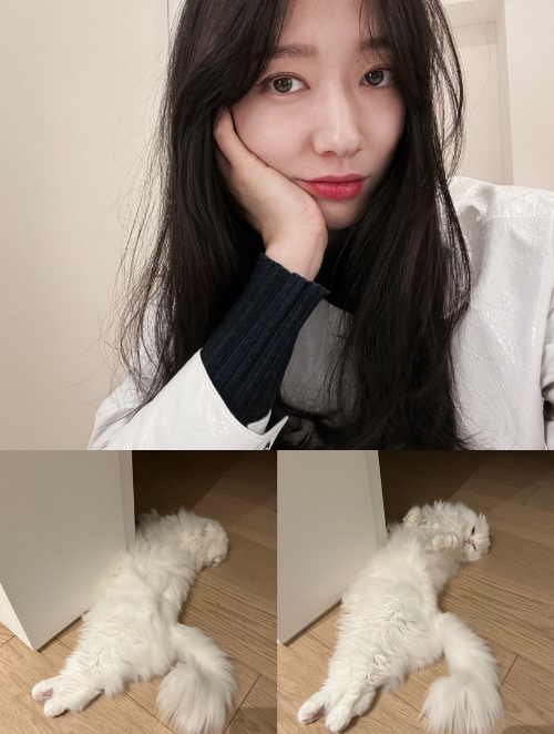 /사진=박신혜 인스타그램
