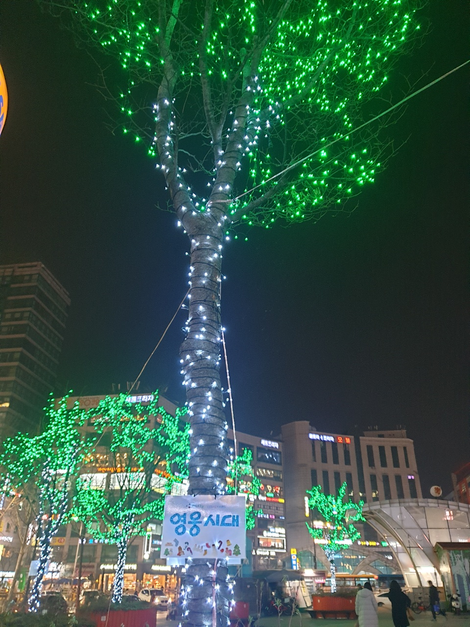 사진