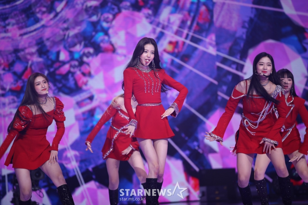 사진