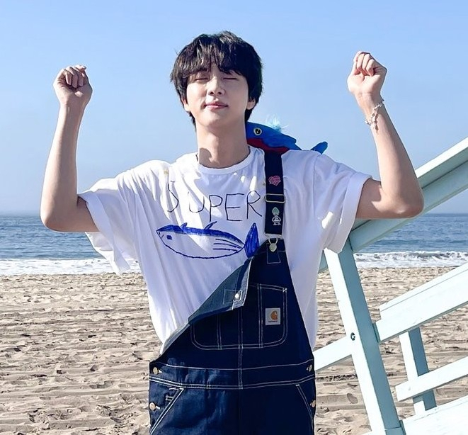 사진