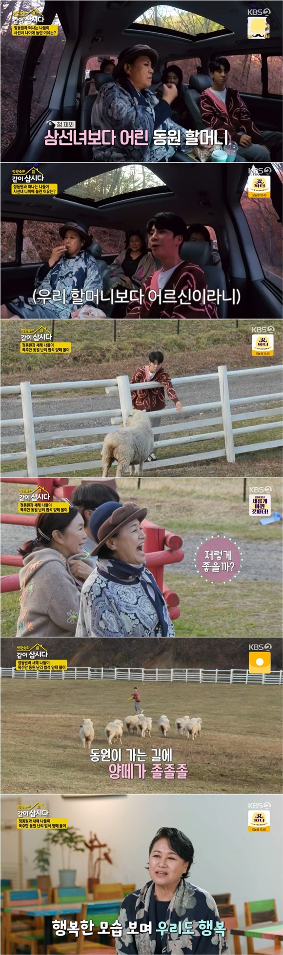 /사진=KBS 2TV '박원숙의 같이 삽시다' 방송 화면