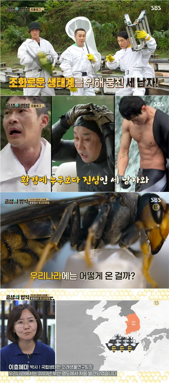 /사진= SBS '공생의 법칙' 방송 화면