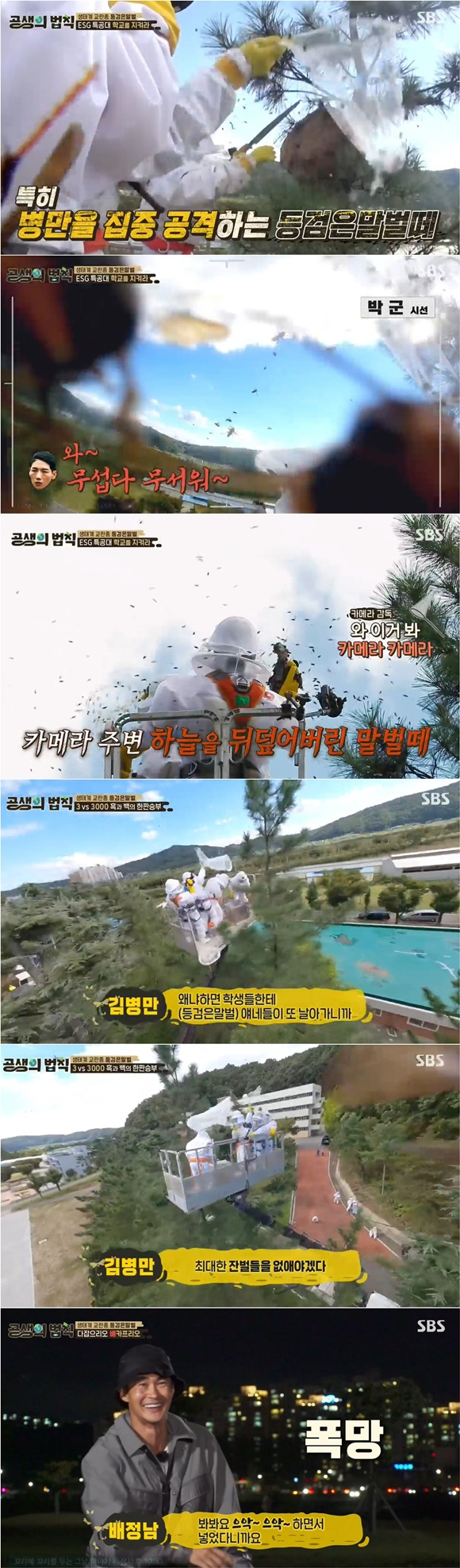/사진= SBS '공생의 법칙' 방송 화면
