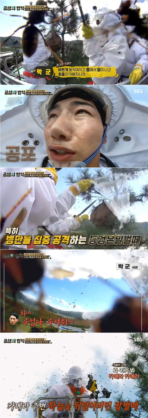 /사진= SBS '공생의 법칙' 방송 화면