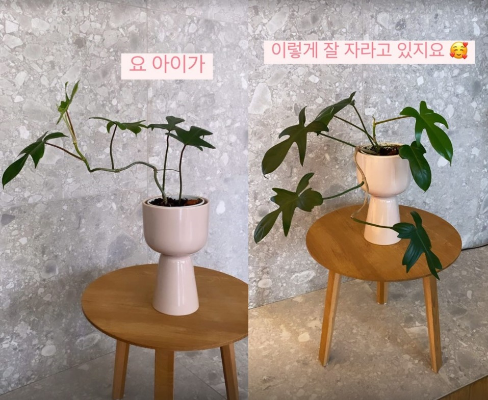 /사진=한예슬 인스타그램