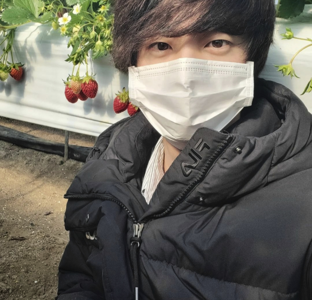 사진