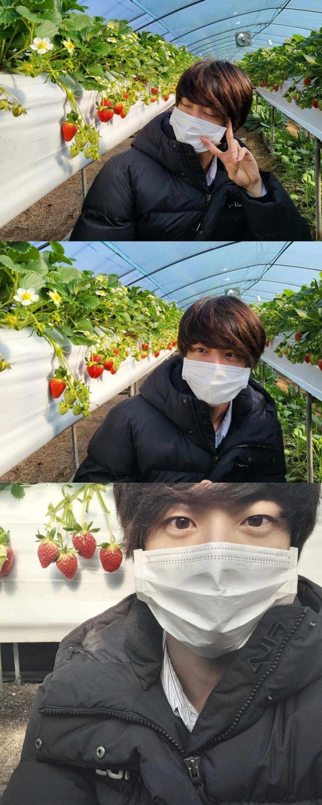 사진