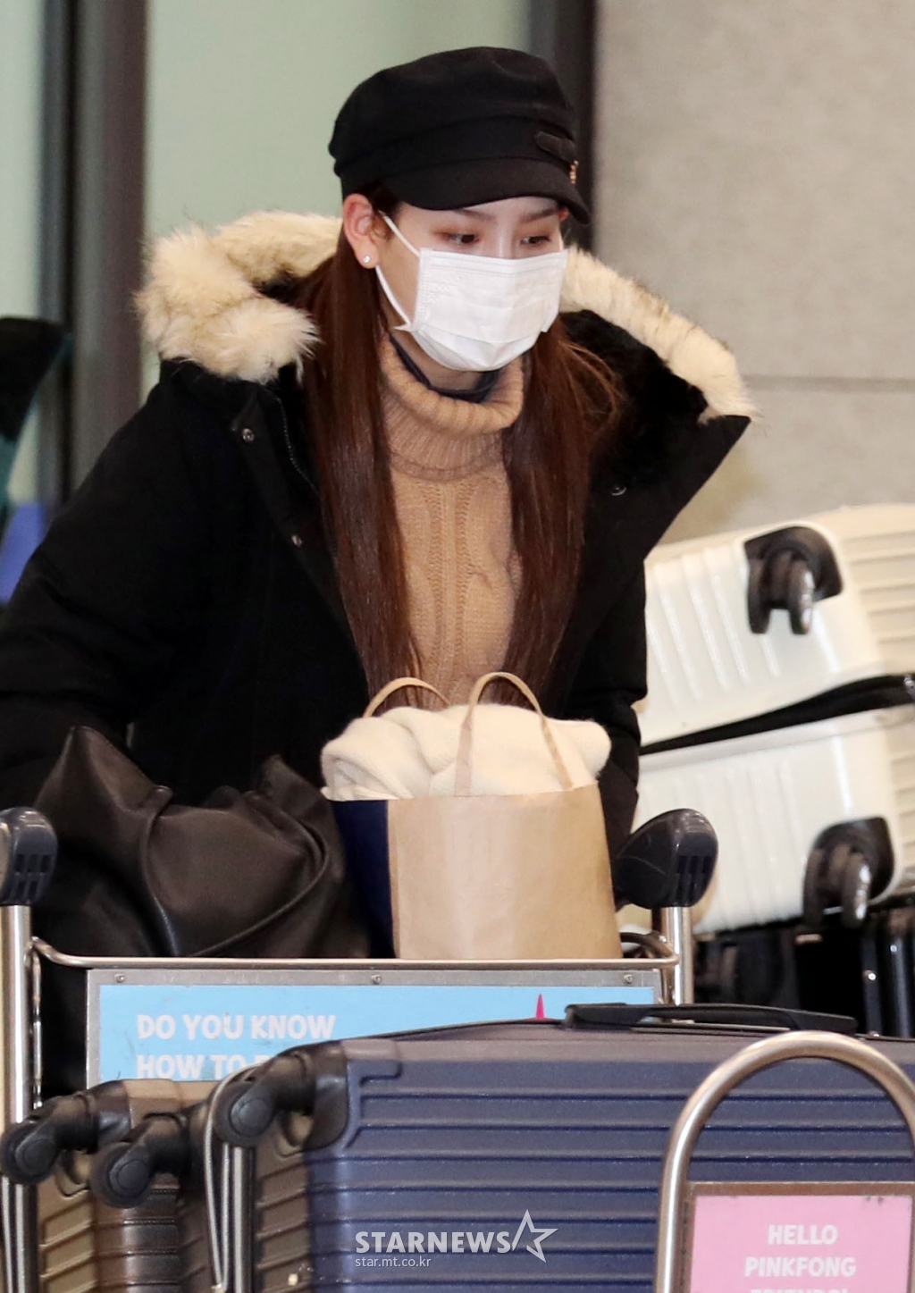 사진