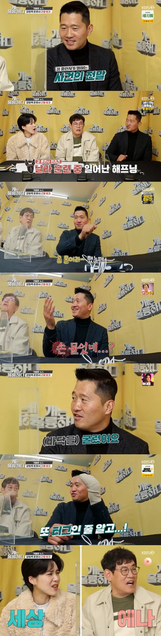KBS 2TV '개는 훌륭하다'에서 강형욱이 반려견에게 물린 사건의 전말을 공개했다./사진=KBS 2TV '개는 훌륭하다' 방송 화면 캡처