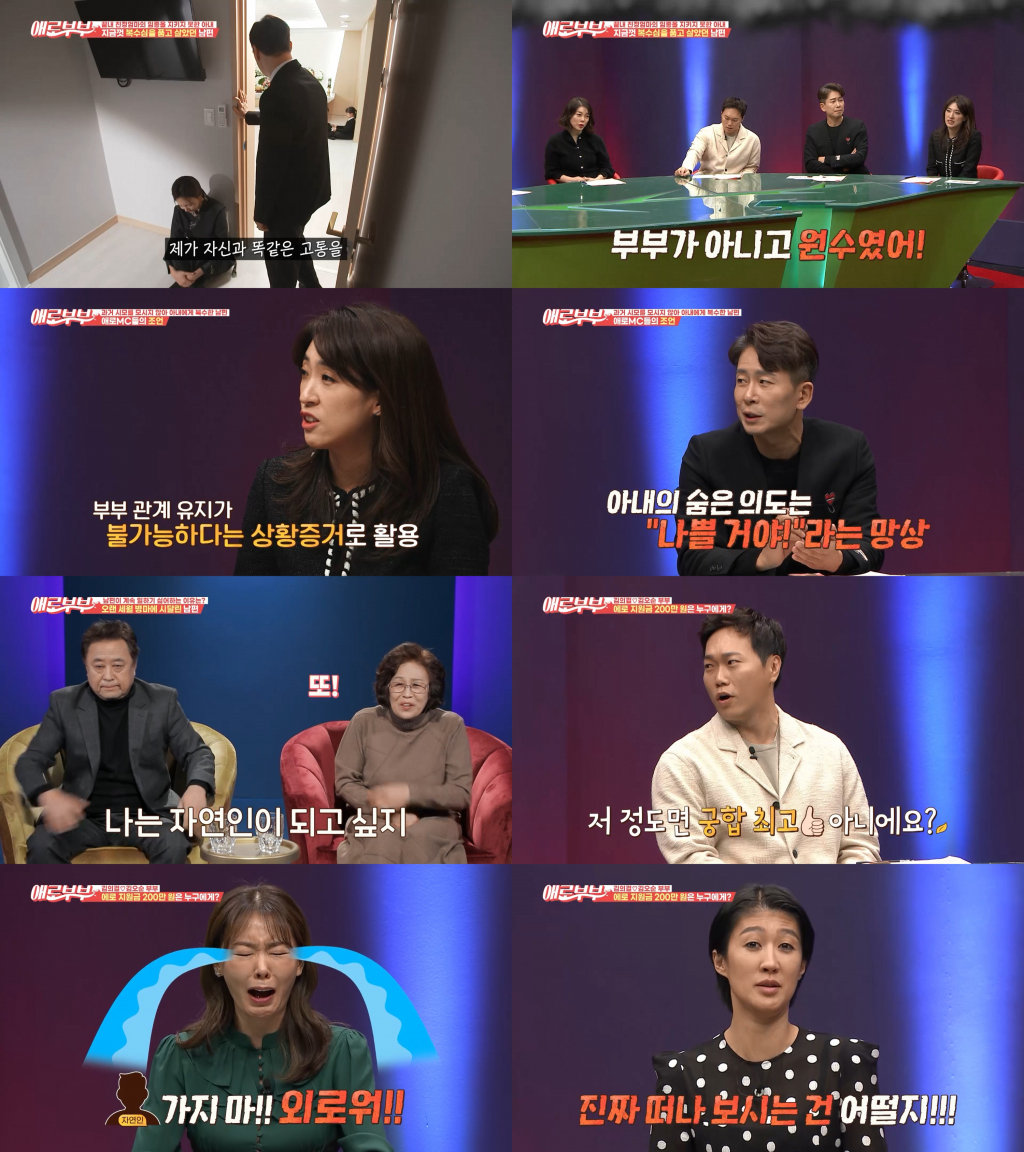 /사진제공=채널A, SKY채널 '애로부부'