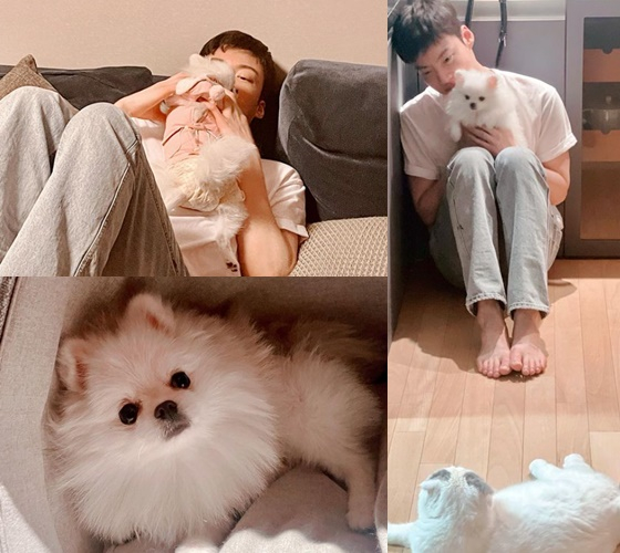 /사진=안재현 인스타그램
