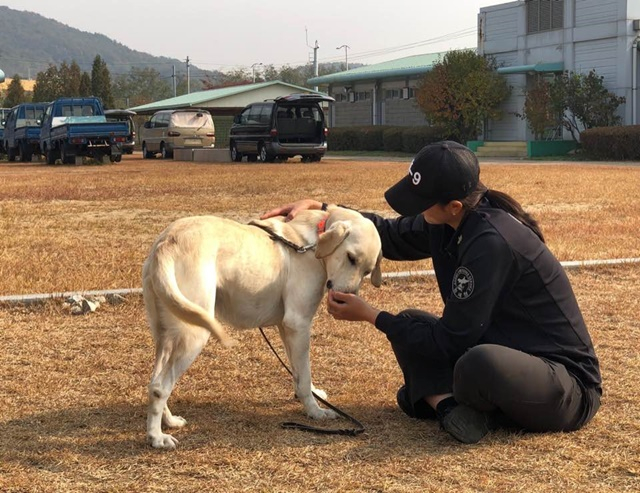 '마약탐지견 핸들러'로 일하는 전보물. /사진=전보물 제공
