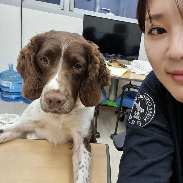 파트너 강아지 포리(왼쪽)와 전보물. /사진=전보물 제공