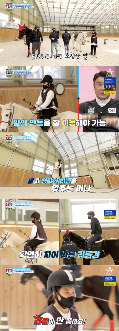/사진=채널A '슈퍼 DNA 피는 못 속여' 방송화면
