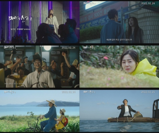 매미소리 / 사진=자유로픽쳐스