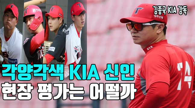 /그래픽=이원희 기자