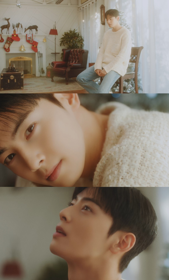 가수 차은우./사진=판타지오 제공