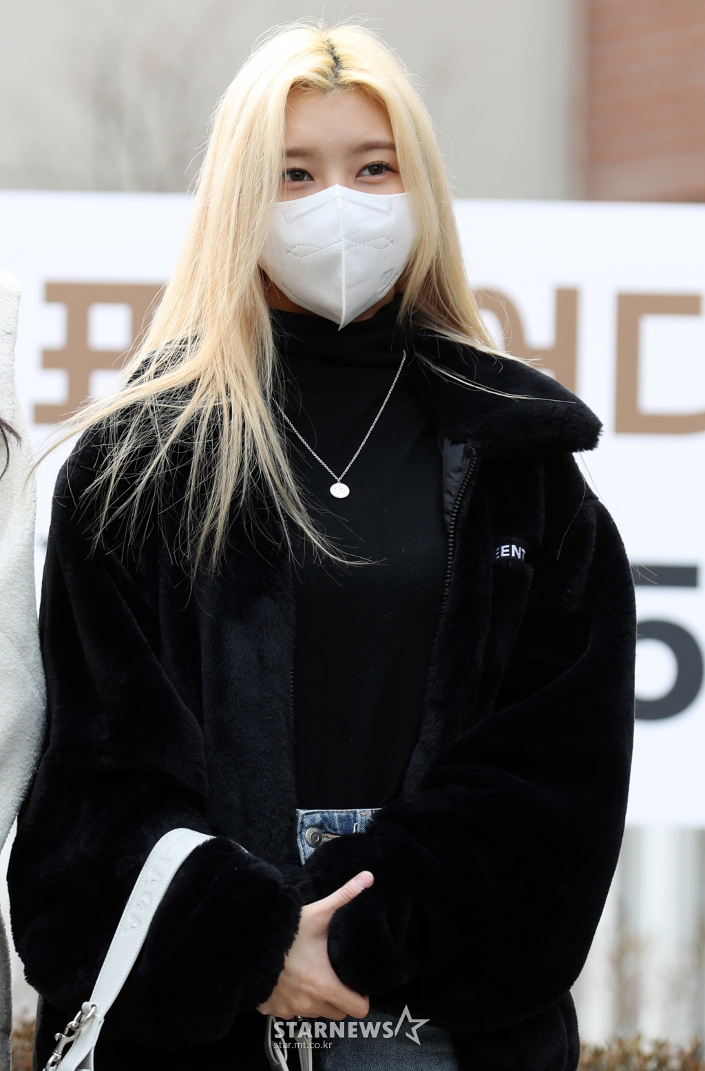 사진